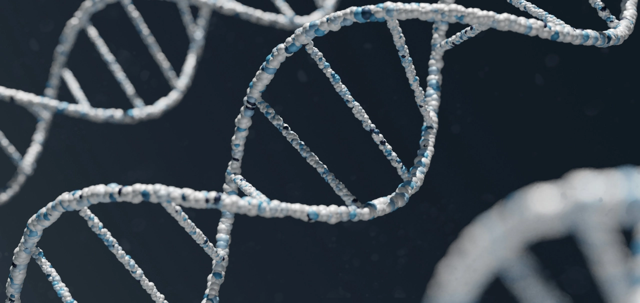 Close-up of a DNA double helix structure with a dark background.