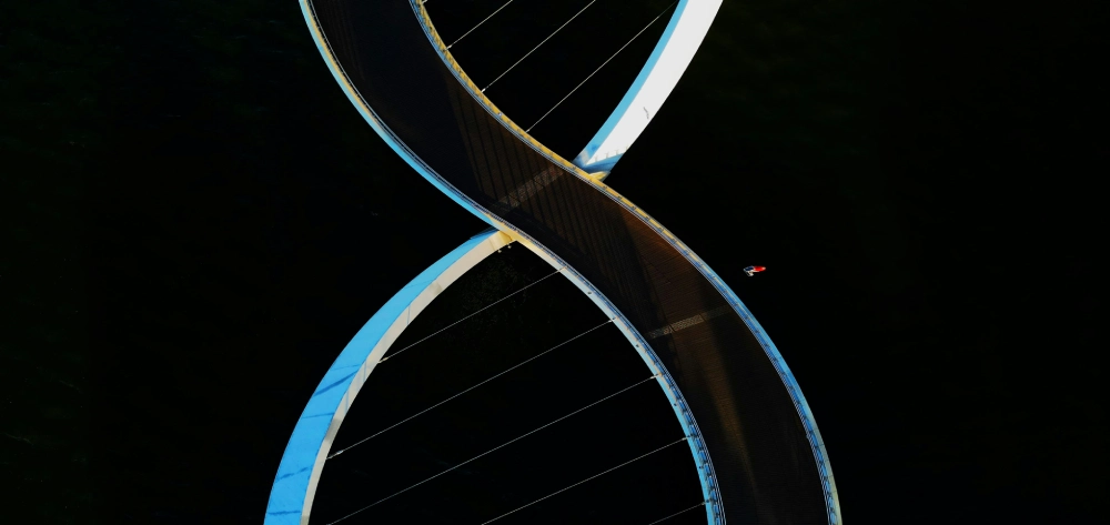 Close-up of a modern spiral staircase with illuminated edges against a dark background.